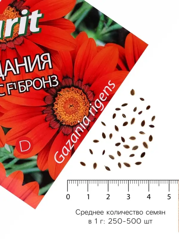 Семена цветов Гацания &laquo;Кисс F1 Бронз&raquo;, для балкона, веранды, цветника, однолетник, низкорослая7 шт.