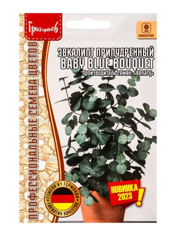 Семена Эвкалипт Baby Blue Bouquet припудренный 3шт. / НОВИНКА  12.29 г.