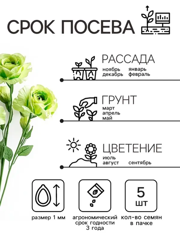 Семена цветов Лизиантус F1 &laquo;Эйбиси&raquo;, зеленая, 5 шт., &laquo;Дом семян&raquo;