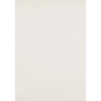 Картон цветной Выбор есть Отличник 20л 10цв А4 мелован.пакет