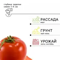 Семена Томат &laquo;Золотце&raquo;, детерминантный, 0.05 г, &laquo;Семена Алтая&raquo;