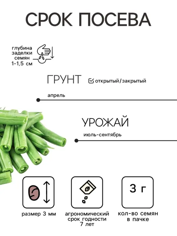 Семена Фасоль спаржевая &laquo;Рябая&raquo;, 3 г, &laquo;Сембат&raquo;