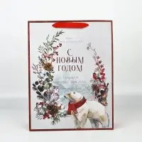 Пакеты подарочные новогодние &laquo;Время чудес в Новом году&raquo;, набор 4 шт.