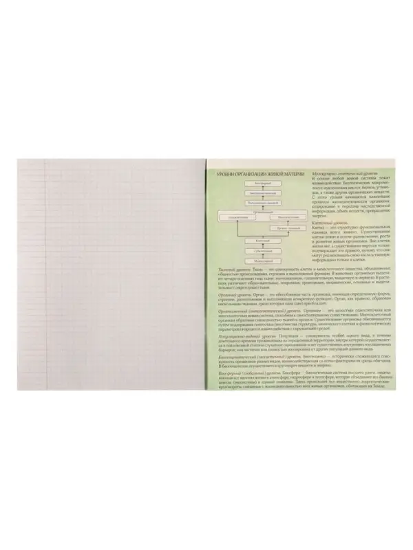 Тетрадь предметная 48 листов в клетку Calligrata «3D. Биология», серые листы