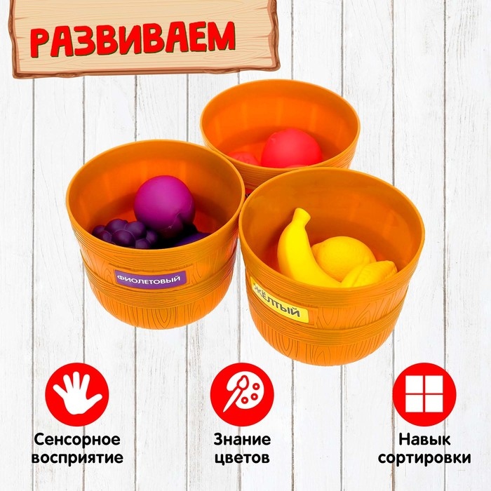 Набор для сортировки «Разноцветный урожай», по методике Монтессори Набор для сортировки «Разноцветный урожай», по методике Монтессори