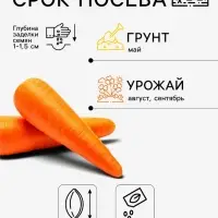 Семена на ленте Морковь &laquo;Барыня&raquo;, 8 м, &laquo;Аэлита&raquo;