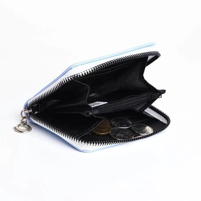 Кошелёк на молнии &laquo;Фея зимы&raquo;, отдел для карт, для монет, голубой