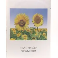 Фоторамка прозрачная для фото 50&times;70 см, &laquo;Клип&raquo;, пластиковый экран