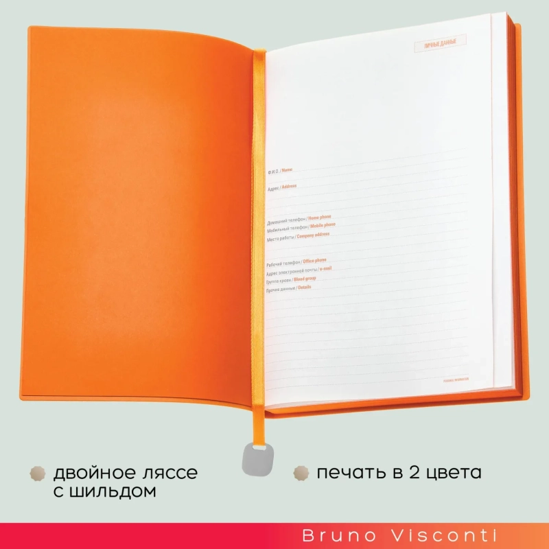 Ежедневник недатированный А5 Mercury черный 272 стр. 3-435/06