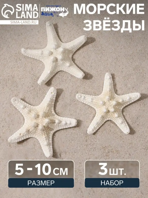 Набор из 3 морских звезд, размер каждой 5-10 см, белые