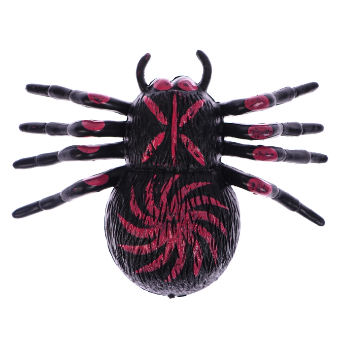 Липучка «Паук», цвета МИКС, на блистере Липучка «Паук», цвета МИКС, на блистере