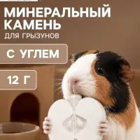 Минеральный камень для грызунов &laquo;Пижон&raquo;, яблоко с углем, 70 г