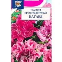 Семена цветов Годеция крупноцветковая &laquo;Катлея&raquo; 0.2 г