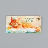 Конверт для денег &laquo;На радости жизни&raquo;, котик в пене, 16,5 х 8 см