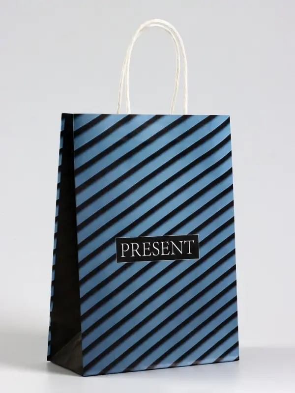 Пакет подарочный крафт Present, 18×8×25 см