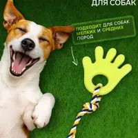 Игрушка жевательная для собак &laquo;Ладошка&raquo;, 10 см, с канатом, салатовая