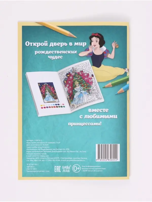 Раскраска по номерам, новогодняя, 17&times;24 см, &laquo;Принцессы&raquo;