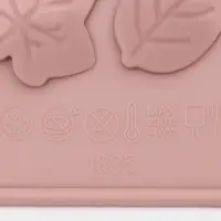 Форма для конфет и шоколада Доляна &laquo;Листики&raquo;, силикон, 21.2&times;11.5 см, 24 ячейки, розовая