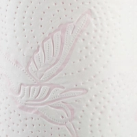 Полотенца бумажные VEIRO Colibri 3-сл.,бел.с гол.тиснен2рул./уп.8п32_ВлгЧлб