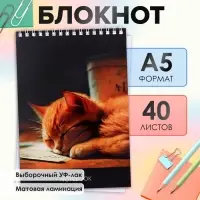Блокнот А5, 40 листов в клетку на гребне &laquo;Соня&raquo;, обложка мелованный картон, матовая ламинация, выборочный УФ-лак, блок офсет