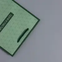 Пакет подарочный ламинированный &laquo;Минимализм в деталях&raquo;, травяной, 18&times;22.3&times;10 см