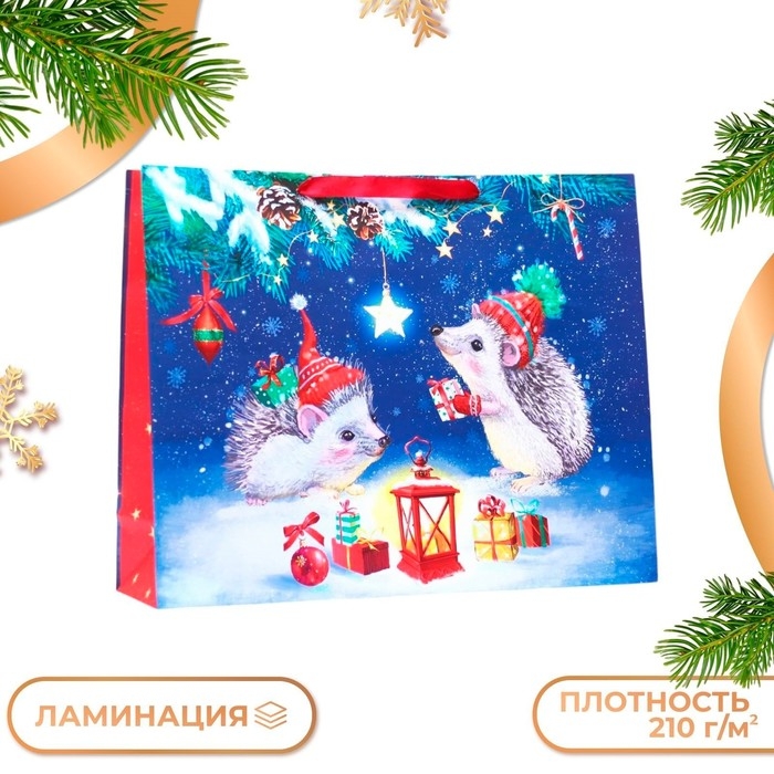 Новый год. Пакет подарочный Новый год. Пакет подарочный "Ёжики", 50 х 40 х 15 см.