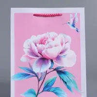 Пакет подарочный "Весеннее чудо" ламинированный 18 х 22,3 х 10 см