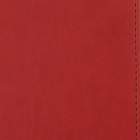 Ежедневник недатированный красный,А5,143х210мм,176л,ATTACHE Сиам