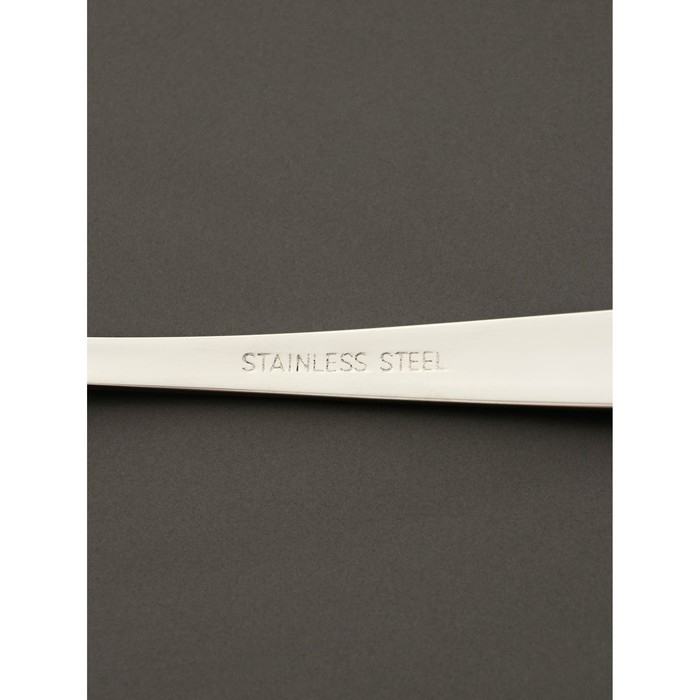 Вилка столовая из нержавеющей стали Magistro Bravo, длина 18,8 см, толщина 2 мм Вилка столовая из нержавеющей стали Magistro Bravo, длина 18,8 см, толщина 2 мм