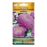 Семена цветов Астра китайская &laquo;Хризантелла Лунный Камень&raquo;, однолетник,5 шт.