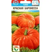 Семена Тыква Красная баронесса 5шт