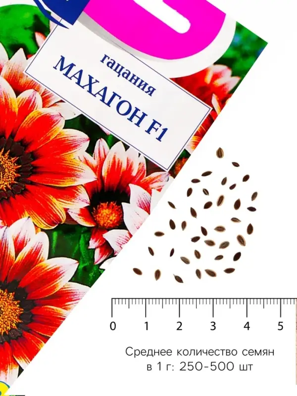 Семена цветов Гацания &laquo;Махагон&raquo;, F1, для балкона, веранды, цветника, однолетник, низкорослая0.04 г