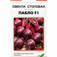 Семена Свекла &laquo;Пабло&raquo;, F1, 100 шт., &laquo;Дом семян&raquo;