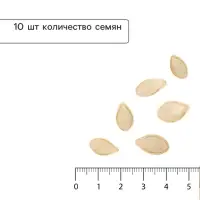 Семена Кабачок цукини &laquo;Желтоплодный&raquo;, 10 шт., &laquo;Аэлита&raquo;