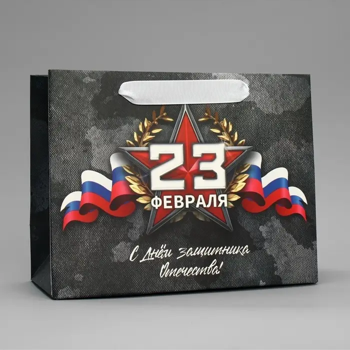Пакет подарочный ламинированный, упаковка, &laquo;23 февраля&raquo;, MS 23&times;18&times;10 см