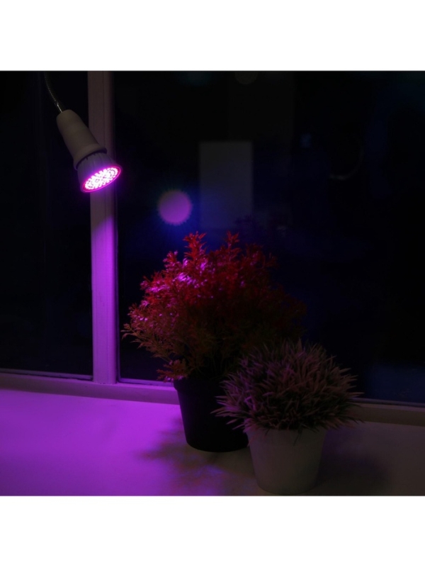 Фитолампа для растений Luazon, светодиодная, E27, 4.5 Вт, IP44, 220 В, 270°, биколорная Фитолампа для растений Luazon, светодиодная, E27, 4.5 Вт, IP44, 220 В, 270°, биколорная