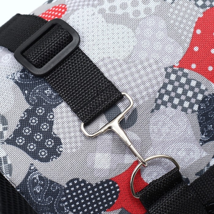 Сумка - переноска для животных  Сумка - переноска для животных "Принт", размер S, 39 х 23 х 27 см, сердечки