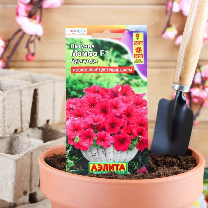 Семена Петуния Мамбо F1 бургунди многоцветковая, 7 шт Семена Петуния Мамбо F1 бургунди многоцветковая, 7 шт