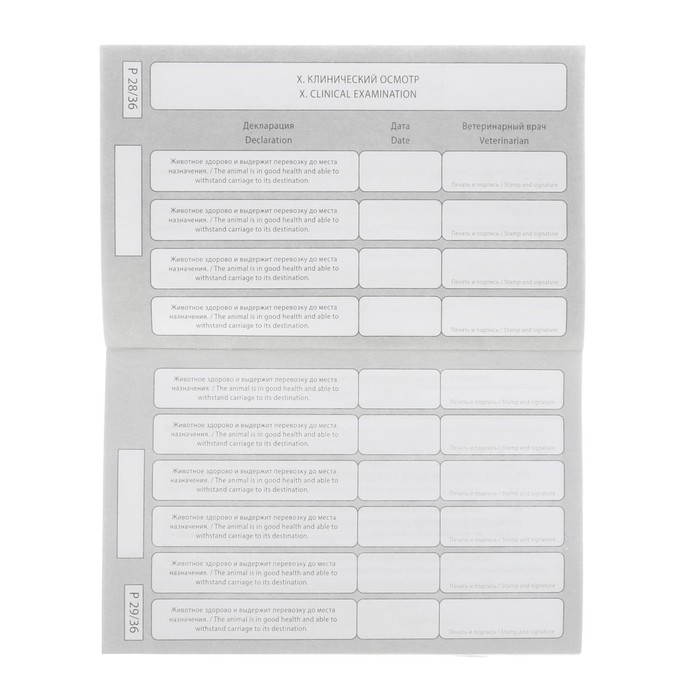 Международный вет. паспорт  Международный вет. паспорт "Лапа", 10,3 х 15,1 см