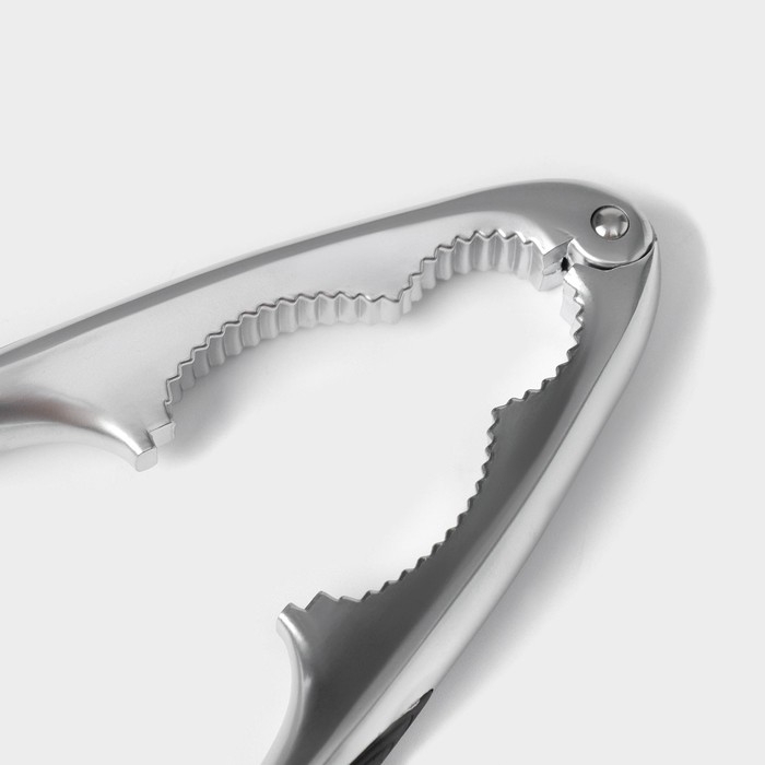 Орехокол Veil, цвет серый Орехокол Veil, цвет серый