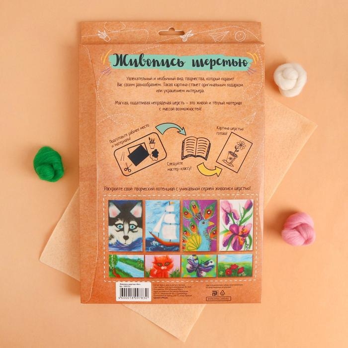 Валяние из шерсти. Картина «Кот», А4, набор для творчества