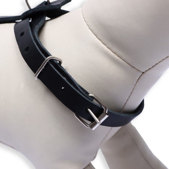 Шлейка кожаная, 1,2 см, для кошек и мелких пород собак, ОШ 26-34, ОГ 36-44, черная Шлейка кожаная, 1,2 см, для кошек и мелких пород собак, ОШ 26-34, ОГ 36-44, черная