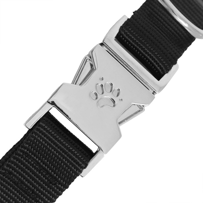 Ошейник строгий с металлическим фастексом, 60 см, толщина проволоки 4 мм Ошейник строгий с металлическим фастексом, 60 см, толщина проволоки 4 мм