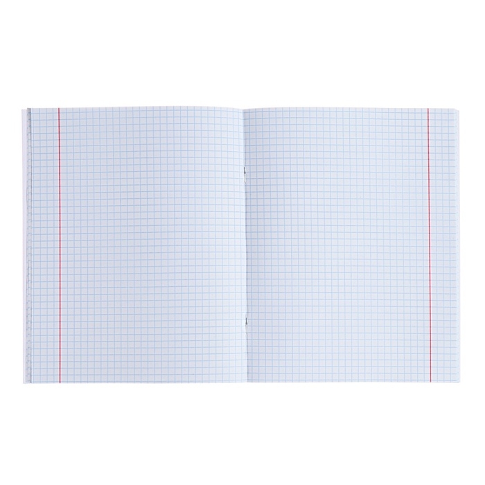 Тетрадь предметная Тетрадь предметная "Домино", 48 листов в клетку, "Физика", обложка пластиковая, блок офсет