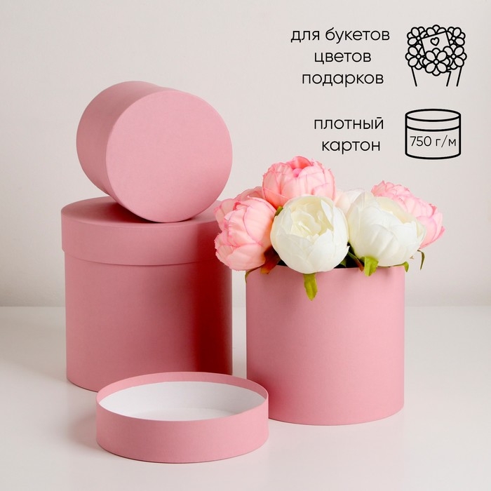 Набор шляпных коробок 3 в 1 Набор шляпных коробок 3 в 1 "Пудра", 18 × 18 ‒13 × 13 см