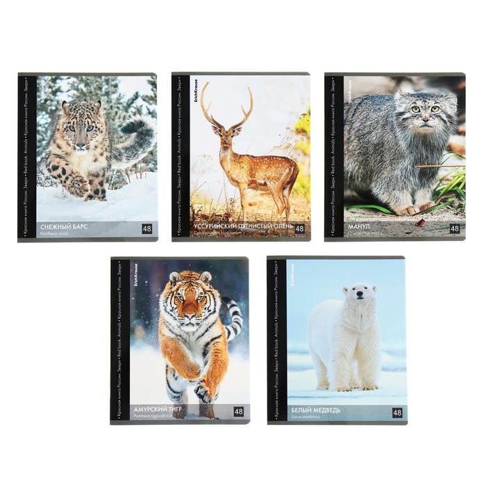 Тетрадь 48 листов в клетку, ErichKrause Тетрадь 48 листов в клетку, ErichKrause "Красная книга России. Звери.", обложка мелованный картон, глянцевая ламинация, блок офсет 100% белизна, МИКС