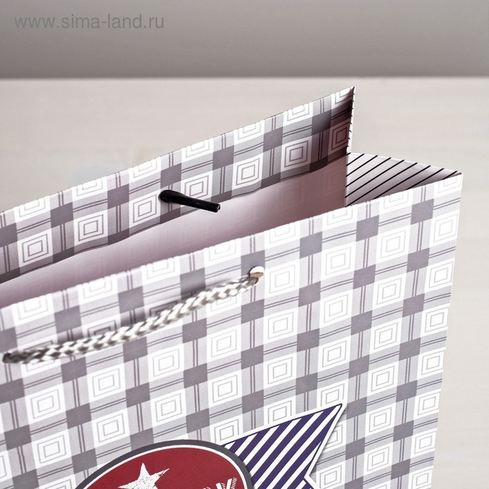 Пакет подарочный ламинированный вертикальный, упаковка, «Стильному мужчине», ML 23 х 27 х 8 см Пакет подарочный ламинированный вертикальный, упаковка, «Стильному мужчине», ML 23 х 27 х 8 см