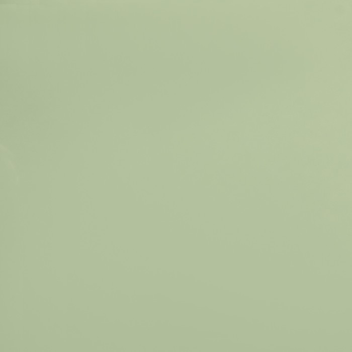 Пленка для цветов, матовая, хаки, 0,58 х 10 м Пленка для цветов, матовая, хаки, 0,58 х 10 м