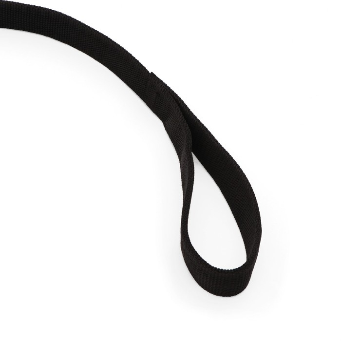 Поводок двухслойный с усиленным карабином, 1,2 м х 2,5 см, чёрный Поводок двухслойный с усиленным карабином, 1,2 м х 2,5 см, чёрный