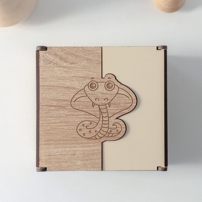 Шкатулка комбинированная  Шкатулка комбинированная "Маленькая змея" 10,5х10х7 см